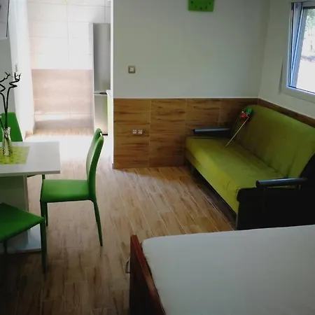 Studio Apartment *